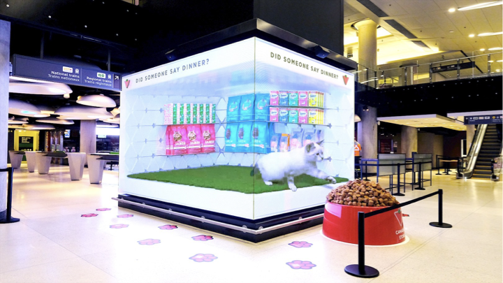 Illuminated experiential display cube installed in a public concourse
